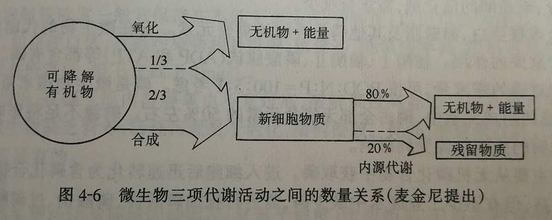 微生物代謝活動(dòng)數(shù)量圖